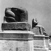 Александрия Египетская. Фрагменты гранитных статуй Рамсеса II и Псамметиха, установленные вблизи так наз. колонны Помпея