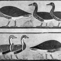 Гуси. Роспись гробницы в Медуме. III династия. Начало 3 тыс. до н. э. Каир. Музей