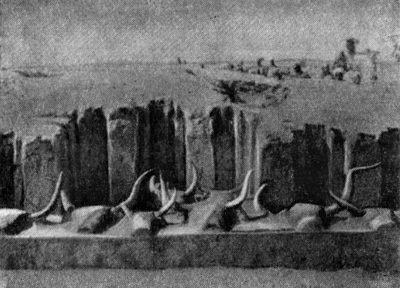 Саккара. Большая гробница I династии № 3504. Фрагмент южного фасада с головами быков