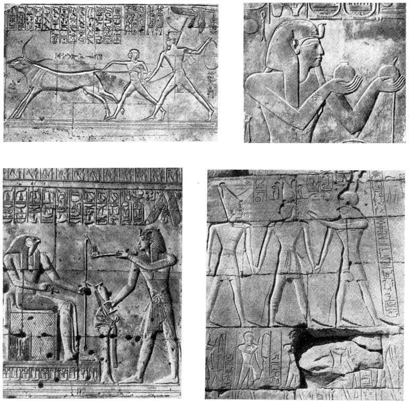 Абидос. Рельефы храма Сети I: ловля буйвола; фараон со священными чашами; Сети I перед богом Пта-Сокаром; Сети I с сыновьями