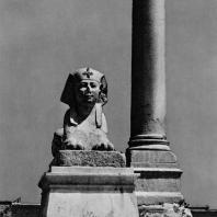 Александрия Египетская. Гранитный сфинкс, установленный вблизи так наз. колонны Помпея. Вид с запада