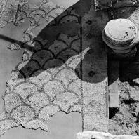 Александрия Египетская. Ком эль-Дикка. Фрагмент мозаики в западном помещении театра