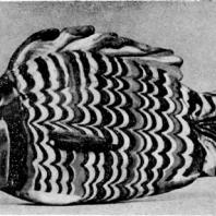 Сосуд в форме рыбы из Ахетатона (Эль-Амарны). Цветное стекло. XVIII династия. Начало 14 в. до н. э. Лондон. Британский музей