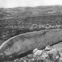 Вишап (каменное изваяние в форме рыбы) в Имирзеке (Армянская ССР). 2—1 тысячелетия до н. э. 