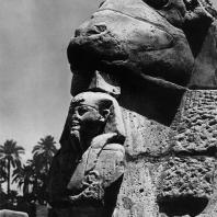 Карнак. Египет. Фрагмент одной из статуй северного ряда сфинксов Рамсеса II перед 1 пилоном храма Амона. Фотограф: Анджей Дзевановский