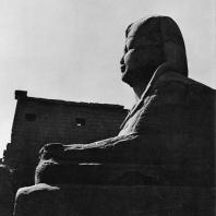 Луксор. Египет. Один из сфинксов периода XXX династии перед пилоном Рамсеса II. Фотограф: Зигмунт Высоцкий
