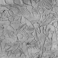 Сцена жертвоприношения. Рельеф из мастабы Ти в Саккаре. V династия. Фото: Анджей Дзевановский