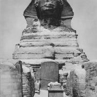 Сфинкс в Гизе. Между ногами сфинкса - вотивная стела фараона Тотмеса IV. Фото: Анджей Дзевановский